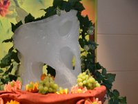 DSC 0110