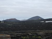 DSC 1050