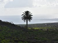 DSC 4937
