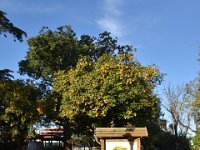 DSC 5157