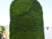 DSC 5166
