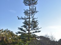 DSC 5184