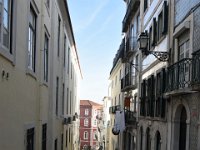 DSC 5390