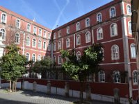 DSC 5391