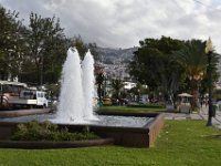 DSC 5556