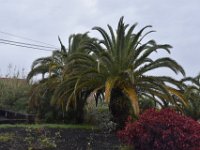 DSC 5669