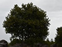DSC 5686