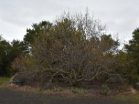 DSC 5693