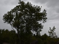 DSC 5696