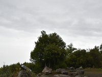DSC 5697