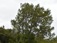 DSC 5701