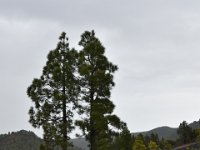 DSC 5711