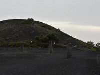 DSC 5865