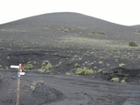 DSC 5964
