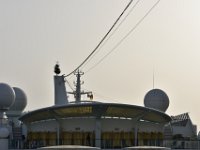 DSC 6154