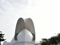DSC 6019