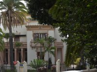 DSC 6081
