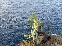 IMG 0007