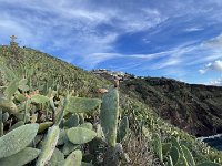 IMG 0822