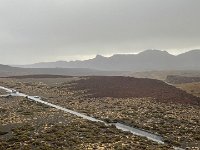IMG 1191