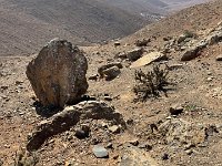 IMG 1444