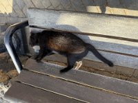 IMG 7798