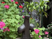 IMG 7869