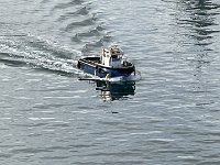 IMG 5968