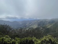 IMG 2580