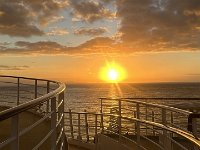 IMG 4479