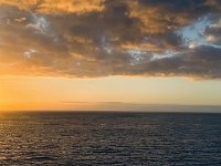 IMG 4482