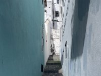 IMG 2954