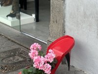 IMG 4931