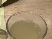 IMG 4985