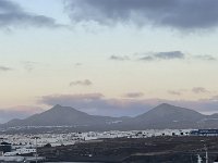 IMG 3106