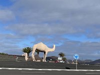 IMG 3132
