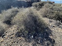 IMG 3157