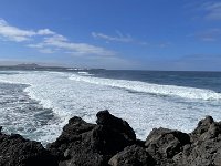 IMG 3168