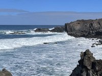 IMG 3175