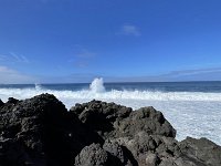 IMG 3184