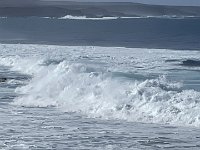IMG 3194