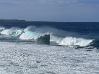 IMG 3198