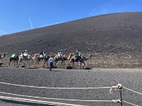 IMG 3279