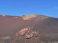 IMG 3290