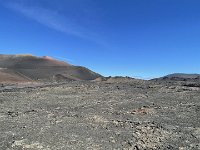 IMG 3293