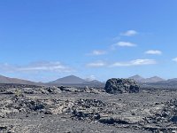 IMG 3295