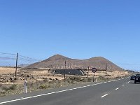 IMG 3337