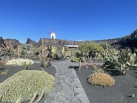 IMG 3366