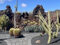 IMG 3367