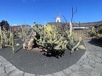 IMG 3368
